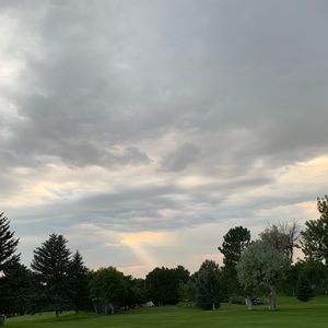 Meet your Posher, Zach